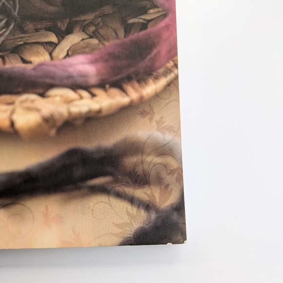 Spin Dye Stitch Used Book Excellent Crafts Crafting Weaving 2009 - Picture 6 of 9